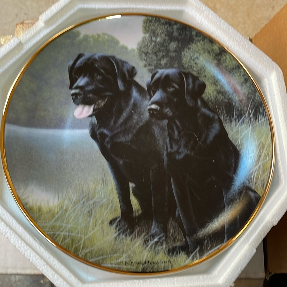 Franklin met Labrador retriever plate